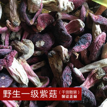 廠家直銷雲南食用野生紫菇標菇紅菇干貨散裝月子菇各規格一件代發