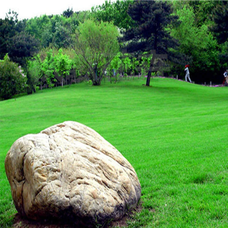 Оптовая продажа семян зеленого газона для защиты склонов Poa pratensis морозостойкая, устойчивая к прыщам, дорога с живописной местностью, большая скидка Приветственная консультация