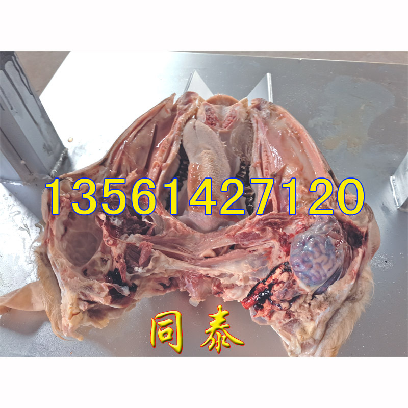 羊头劈半机5