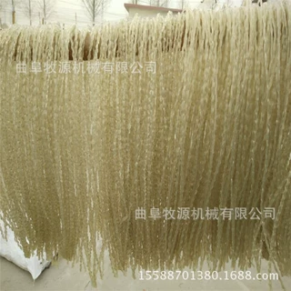 不锈钢粉条机厂家  免冻粉条机价格  自熟式红薯粉条粉丝机