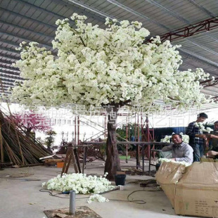 �S�ҹ�������ѻ��� ���ͷ���� ��c�OӋ�b[������ֲ��Gֲ