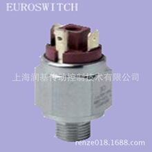 EUROSWITCH_P MOD 31 250V