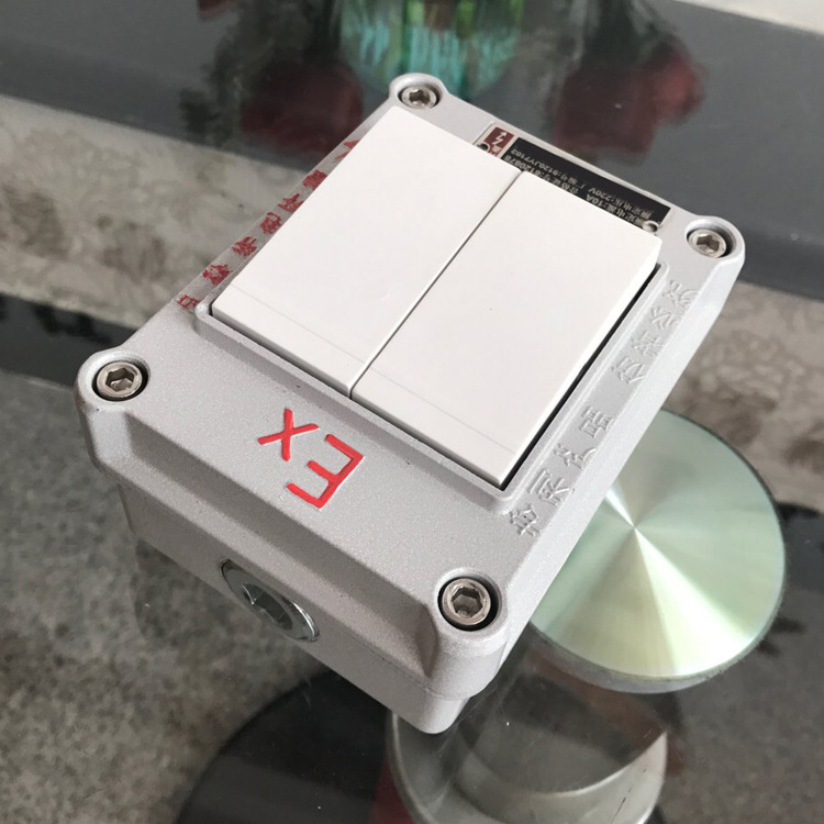 供应防爆墙壁开关BQM-10A防爆墙壁式双开开关单开三开铝合金材质