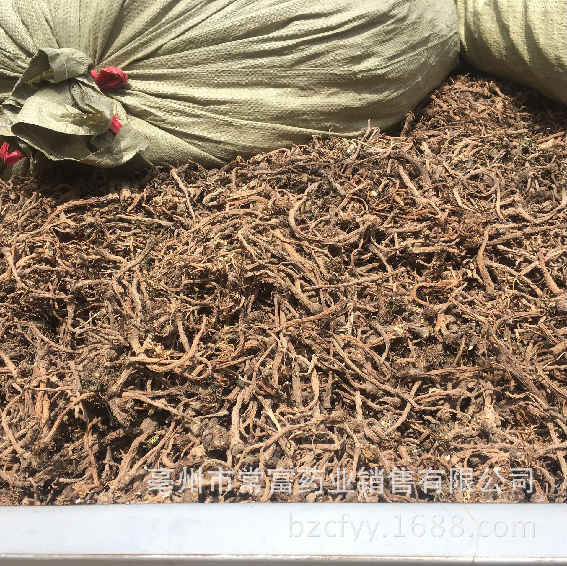 Dandelion Root Tea Pu Gong Ying Gen Washed Dried Roots for Herbal Infusions and Decoctions 500g specifications
