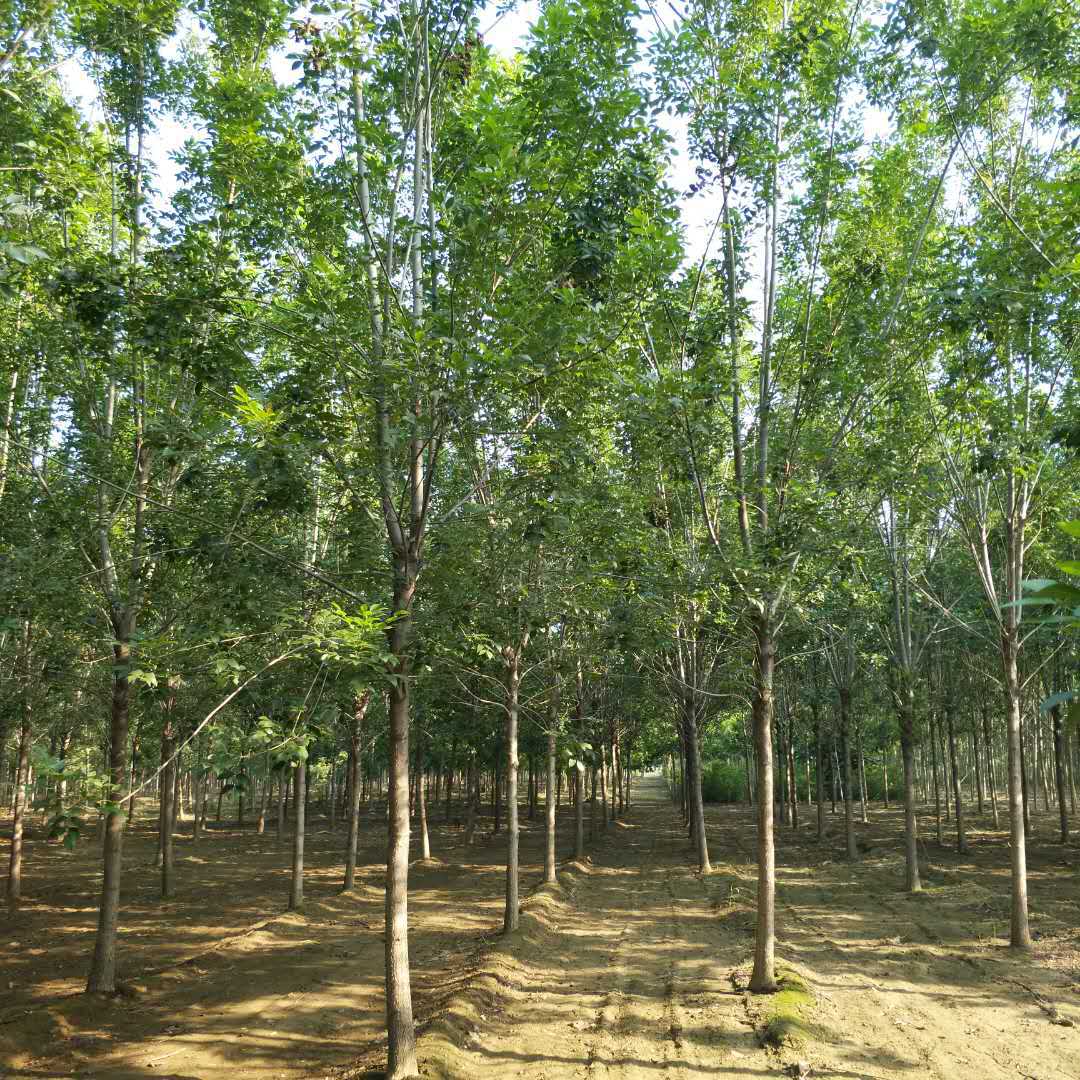 微信图片_20171006153852