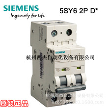 T΢͔·5SY6 2P D 0.3A-63A 6kA