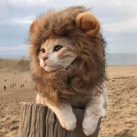 猫咪狮子头套搞笑宠物装扮耳朵帽子狗狗猫猫可爱搞笑头饰发饰