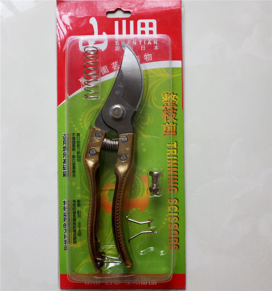 批发大头果枝剪果园剪刀 修枝剪 弹簧省力 带配件 量大从优