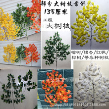 �����y���~ �y�Ә�֦��ɫ�Sɫ��ɫ��ɫ��c �z�~�y���~