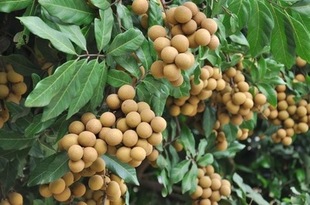 ̩��Խ�������M�ڈ��P���P؛���V�����x�P��կŪ�Ѷ����ڰ�����