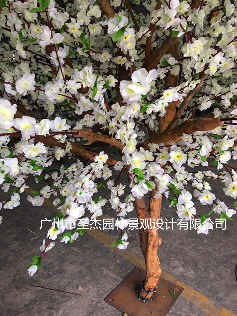 423107275436308353_副本