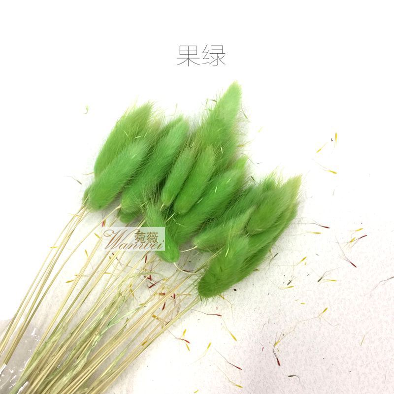 微信图片_20170521112059_副本