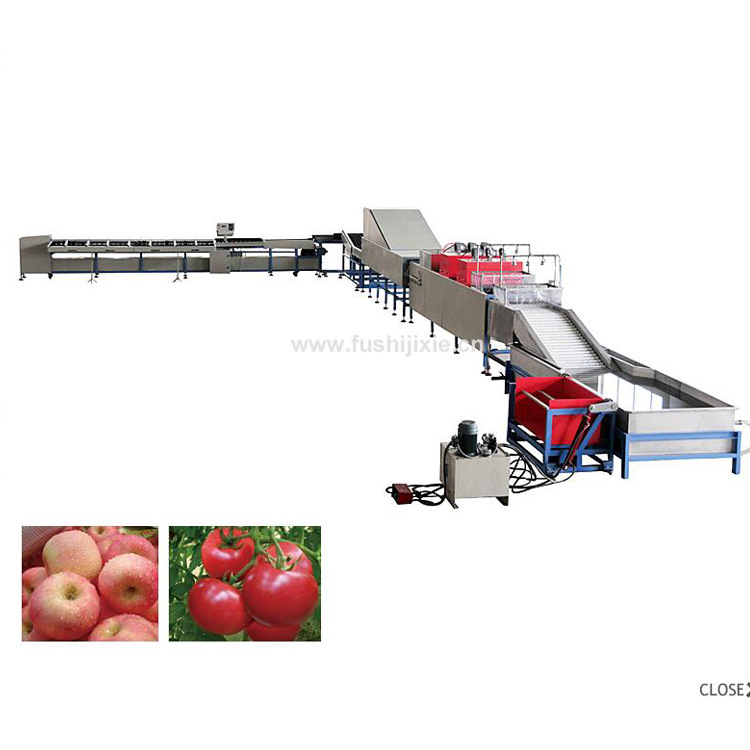 【现货批发】FS-DL型洗果打蜡机 水果分选机 包装线 ce认证