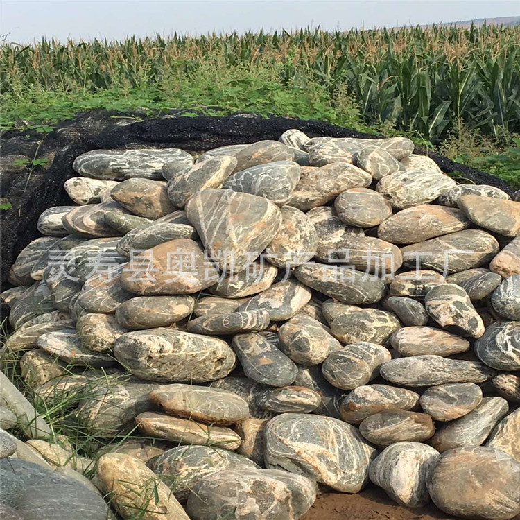 大量供应泰山石 造景泰山石