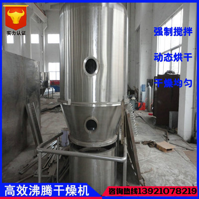 Efficient Boiling dryer GFG-60 Ammonia sugar dryer VC pineapple dryer drying equipment