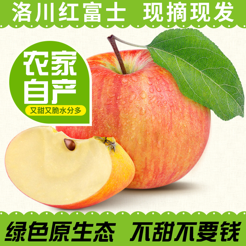 红富士苹果新鲜水果 陕西正宗红苹果 自产自销 5斤装