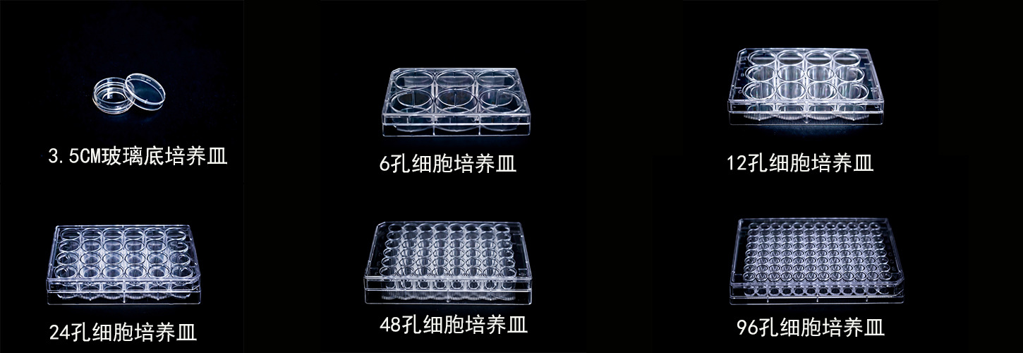 金典厂家直销 塑料1ul / 10ul 接种环 接种针 一次性医用耗材