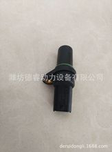 {WD10WD12WP10WP12͙C612630030007Dق