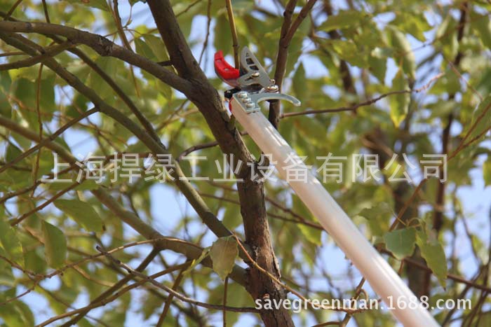 刘盛园艺高空剪 果树树枝摘果剪刀园林工具修枝剪伸缩采果剪高枝