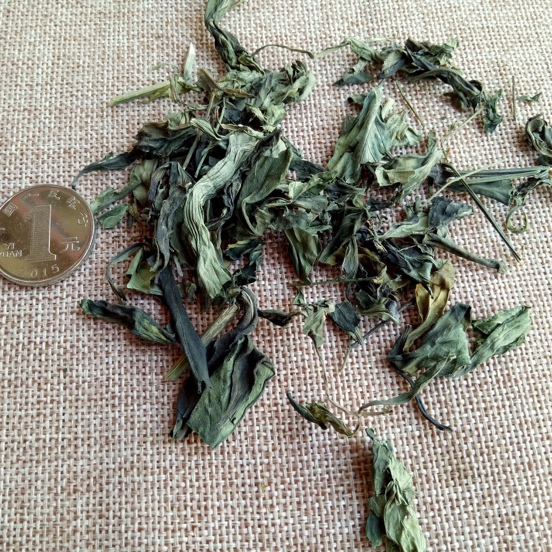Chuan Xin Lian Andrographis Leaf Dried Herb 500g Bulk Culinary Herbal Supply key features