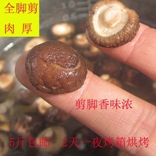 湖北宜昌小香菇500g散裝食用菌金錢菇干香菇自產直銷