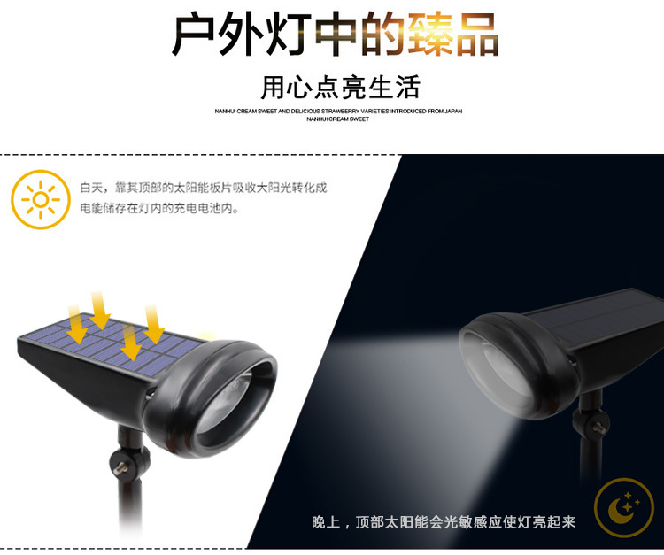 未标题-5-恢复的-副本_03