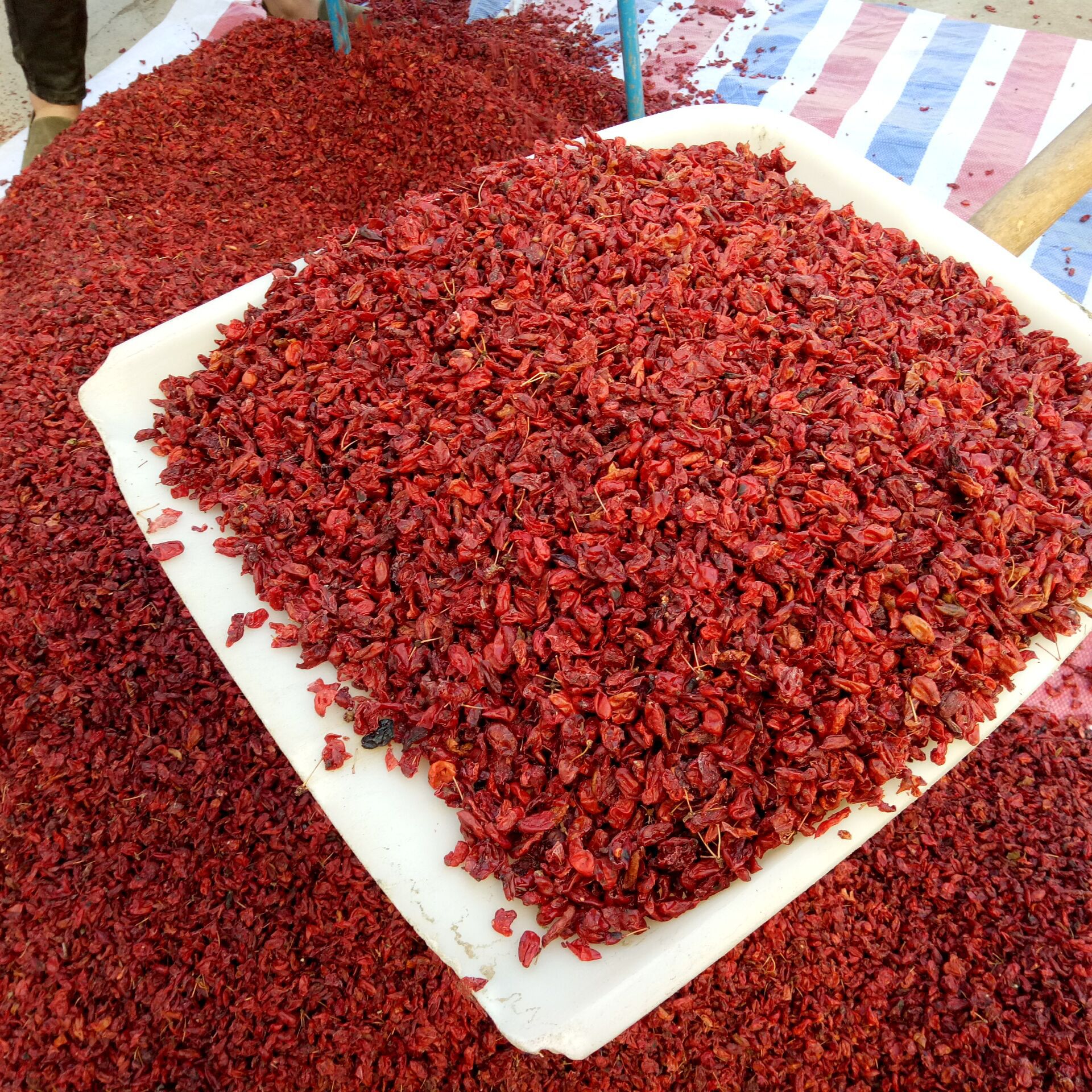 Cornus Fruit Shan Zhu Yu 山茱萸 Dried Asiatic Dogwood Fruit 500g Traditional TCM Herb specifications