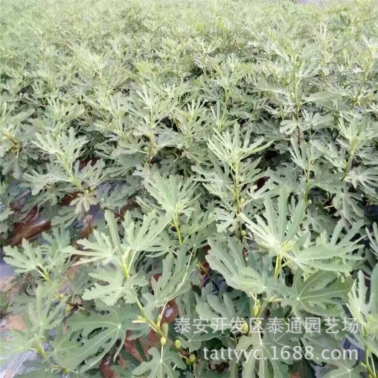 QQ图片20170323090728