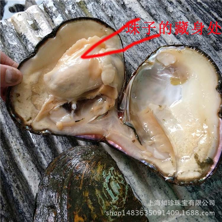 IMG_20171004_164502-1