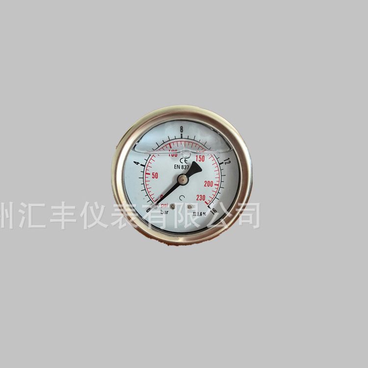 不锈钢防震25bar充油压力表en837，客户定制标牌，质优价廉