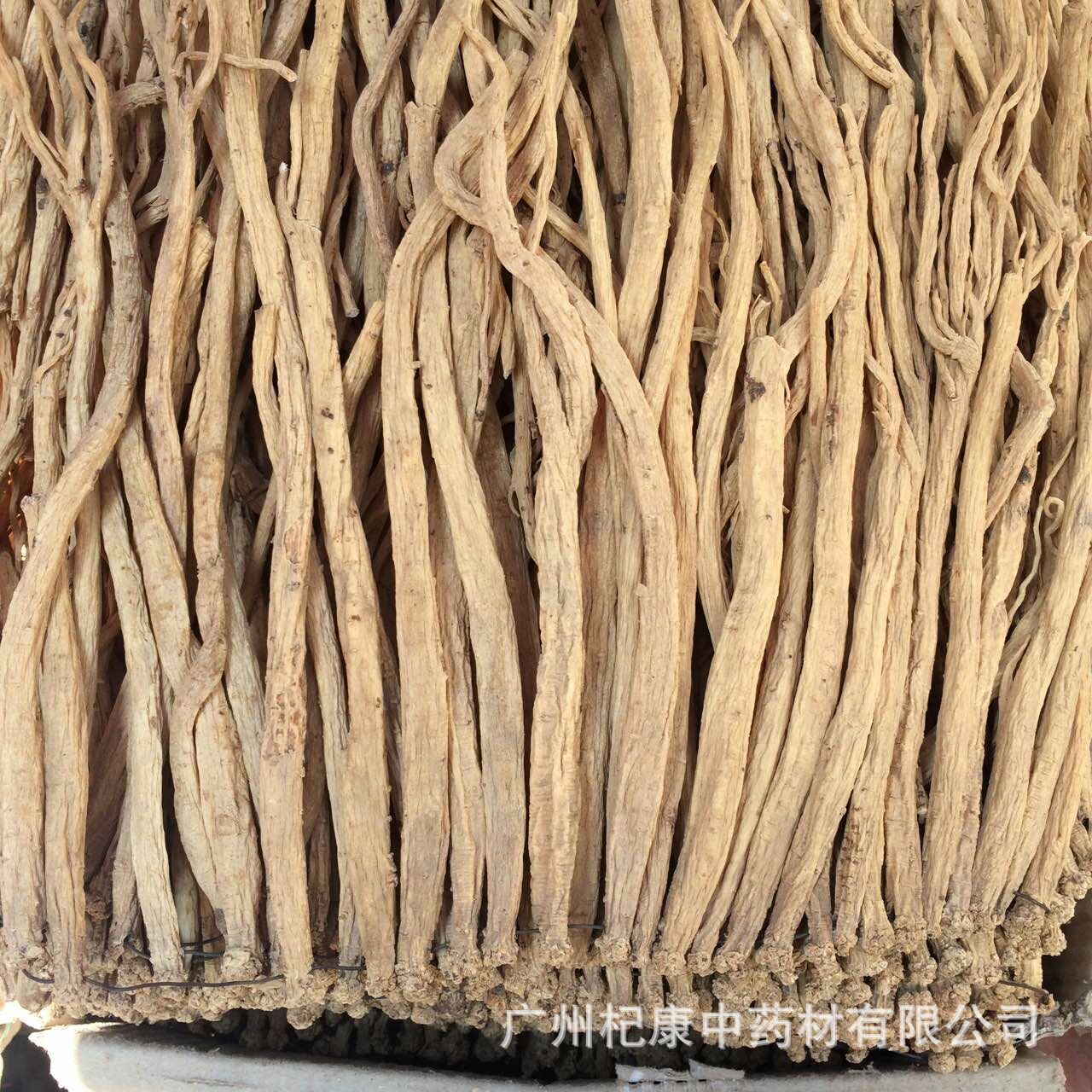 党参条 党参白条新货全干大条500g 新鲜干度好甘肃党参 产价直销|ms