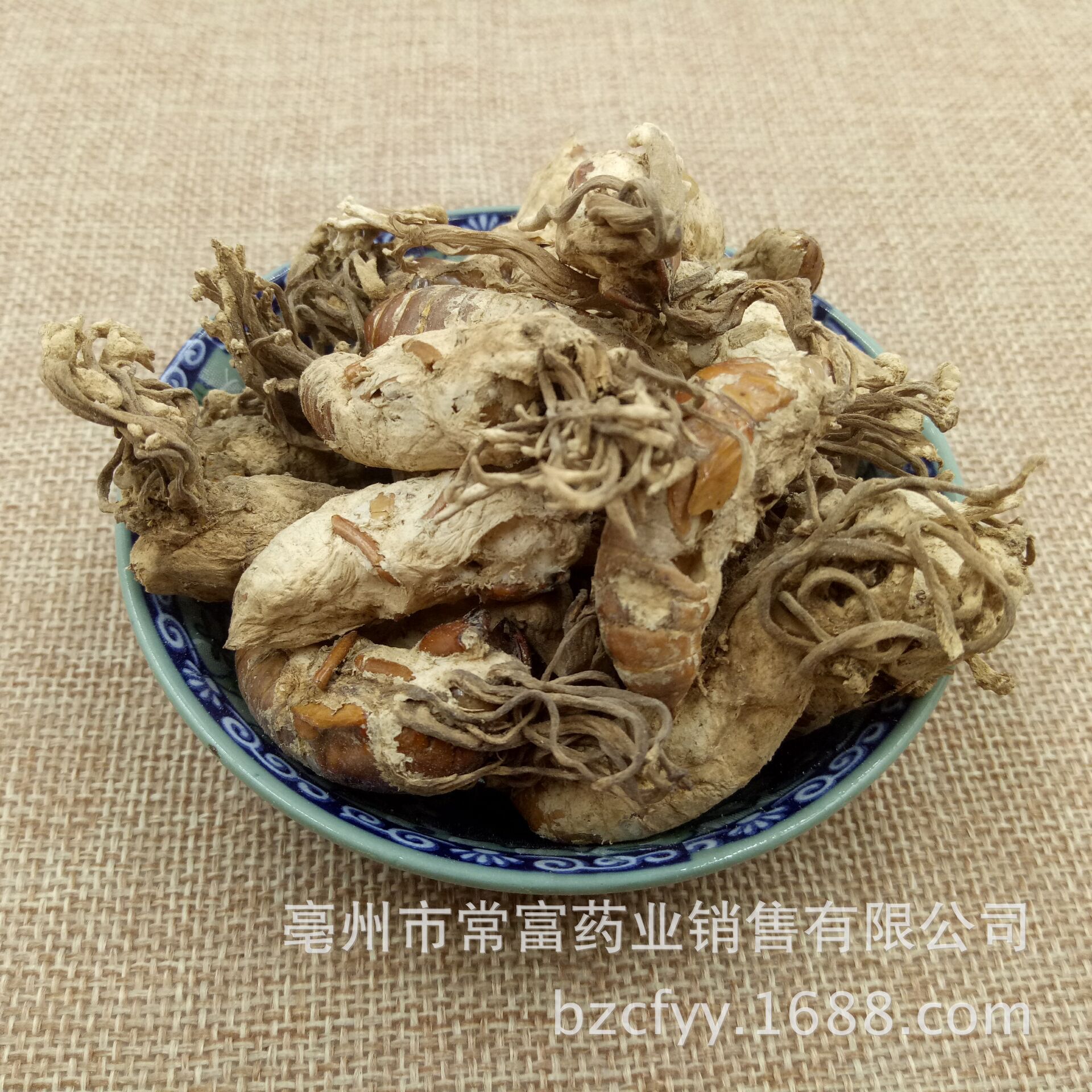Golden Cicada Flower Jin Chan Hua Dried Cordyceps Fungus on Cicada Pupae Traditional Herbal Ingredient 500g specifications