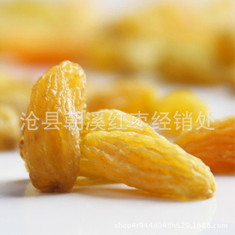 批發新疆特産金皇後葡萄幹500g 金黃色 吐魯番葡萄幹金提子幹新貨
