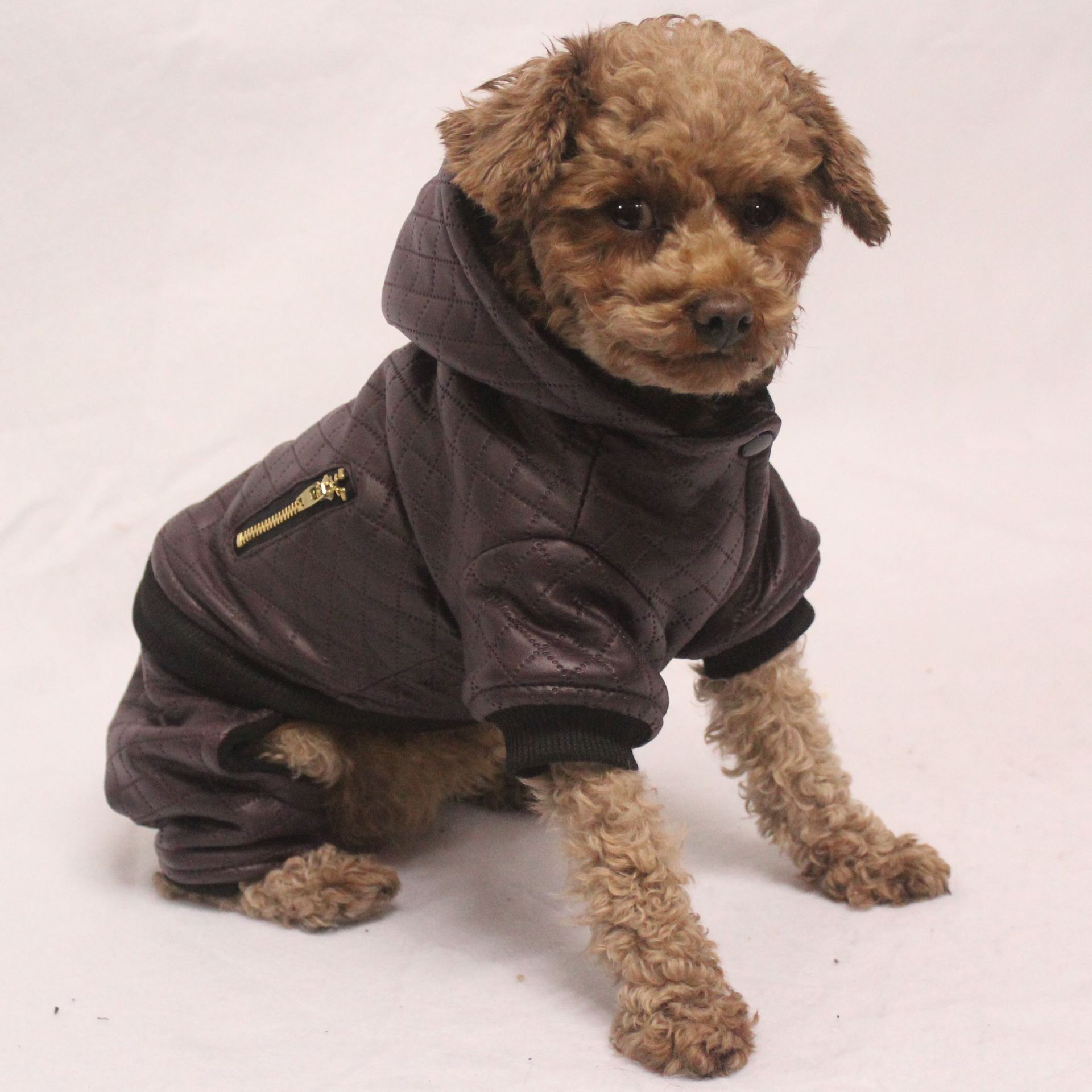 How To Keep Your Dog Warm Outside During Winter