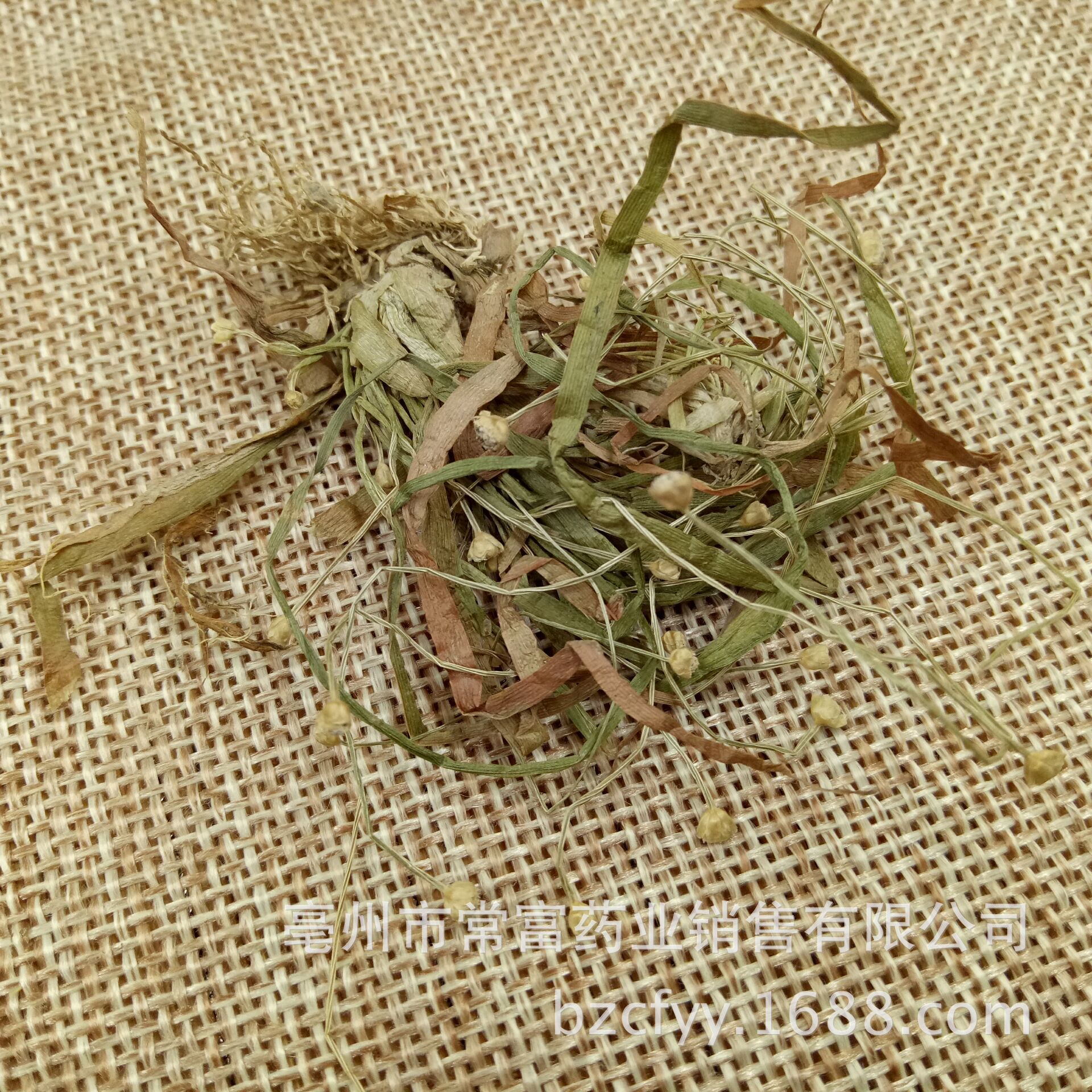 Dried Eriocaulon Flower Buds Gu Jing Cao Whole Herb 500g Traditional Chinese Herbal Tea Ingredient in use