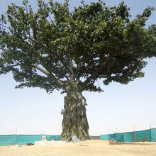 圣杰仿真大榕树出口迪拜18米室外景观装饰阻燃抗紫外线假树可阻燃