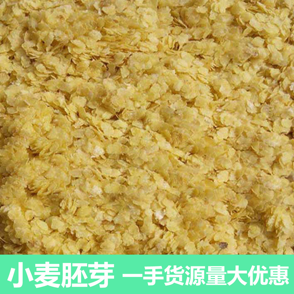 厂家直销新鲜生小麦胚芽20kg/袋五谷杂粮无麦麸麦胚鱼饵饲料批发