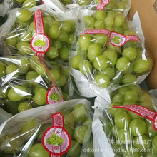 青島廠家生產批發水果店半透明葡萄包裝袋草莓包裝蠟紙罩袋