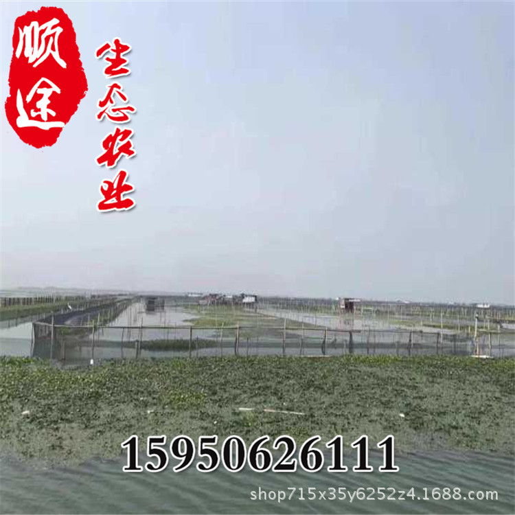 QD({FG$_YU]LI_]}[6I_C~I