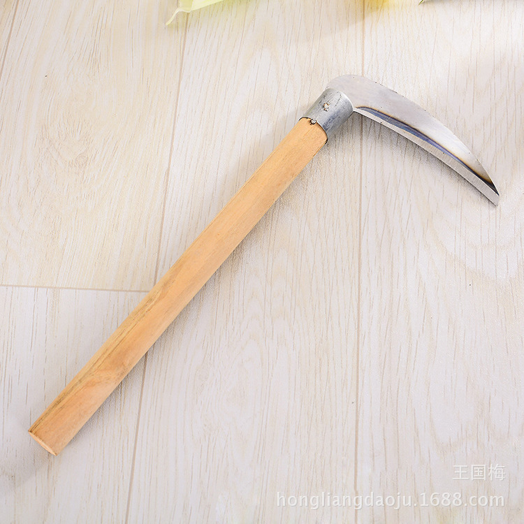 3940834745_2026407097