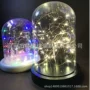 带灯吹制工艺品led玻璃罩