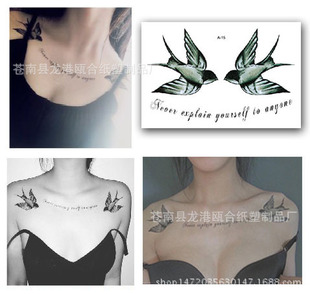 ܛ�ò�ɫԭ��ϵ�мy���N�������i��Ӣ�ļy���N��AB�z