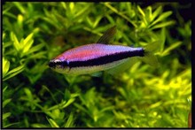 �����~ Ⱥ���~ �������~  �Ꭷ�~���w �^�p�~���l