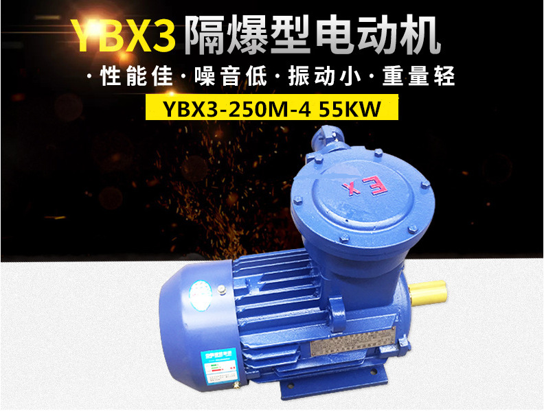 隔爆型三相异步电动机YBX3-250M-4 55KW立式卧式 防爆证电机