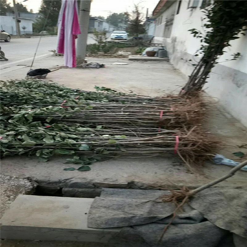 寰俊鍥剧墖_20171029102440