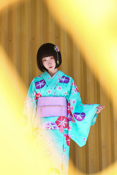 Green kimono Japanese kimono bathrobe women’s ironless polyester printed formal kimono suit