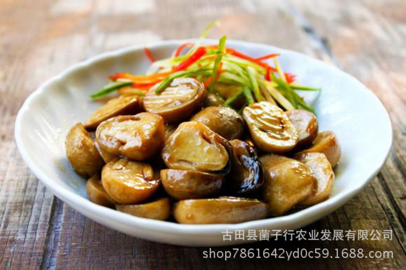 2967120867_1766974570