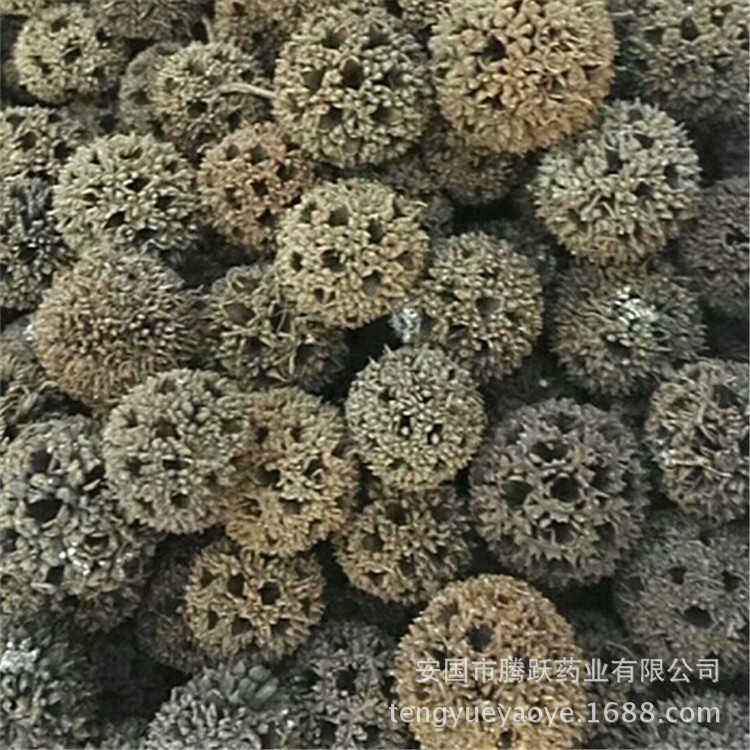 Lulu Tong Dried Sweetgum Fruit Whole Form Traditional Chinese Herb for Decoction and Herbal Use key features