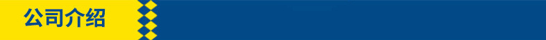 公司介绍