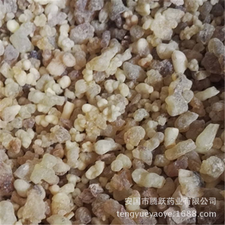 Frankincense Resin Ru Xiang 乳香 Dried Boswellia Carterii Resin Beads for TCM Decoction and External Use quality and texture